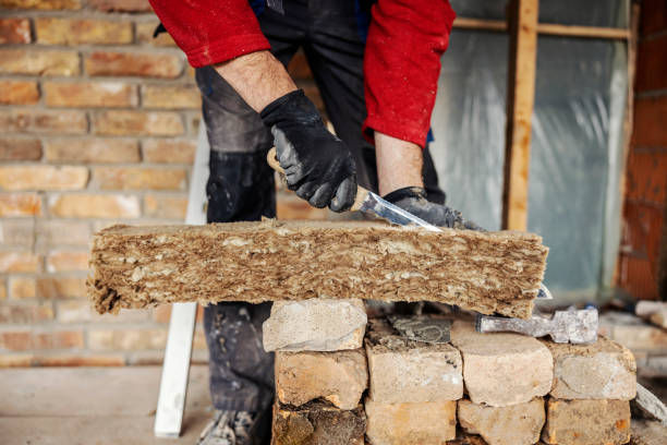 Best Insulation Removal Services  in Espaola, NM